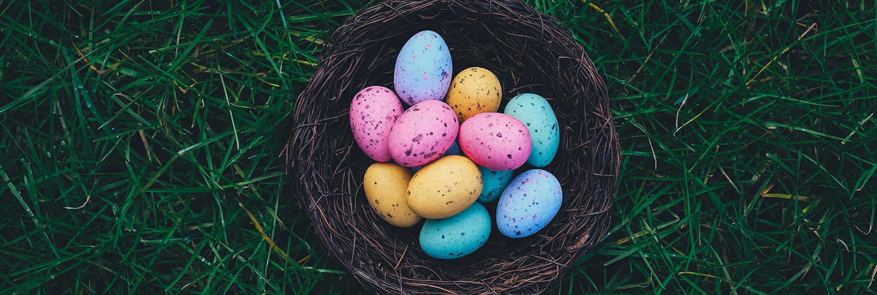 A basket of easter eggs in the grass